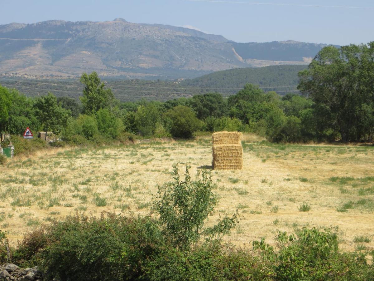 Casa Rural El Remolon Pinuecar ภายนอก รูปภาพ